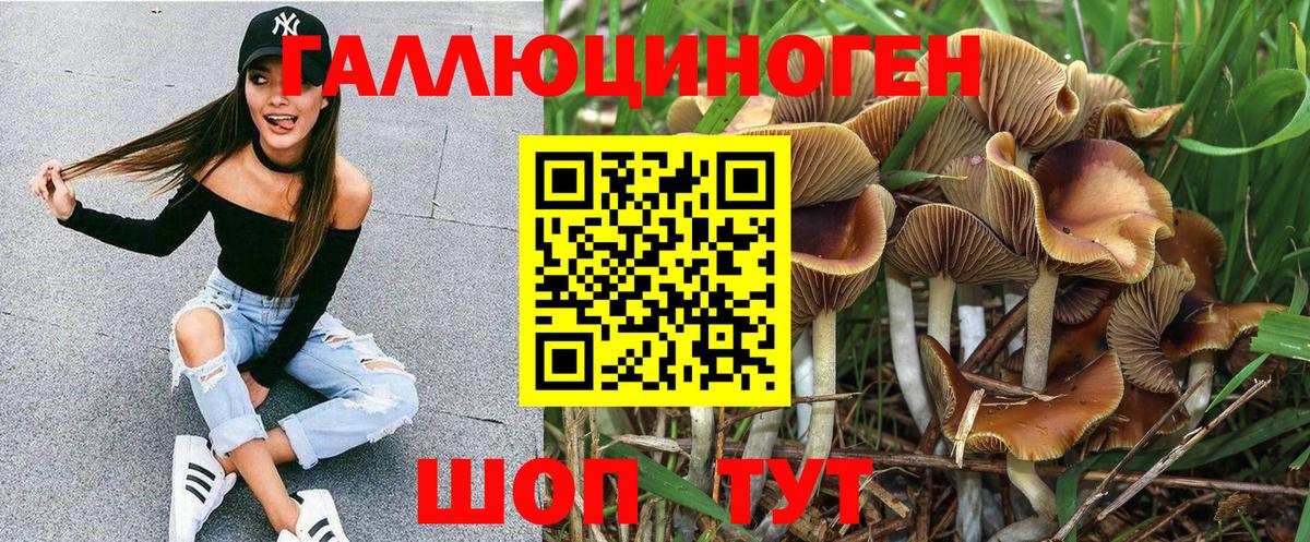 Сокол  Галлюциногенные грибы ЛСД  Вход с VPN  Псилоцибиновые грибы MAGIC MUSHROOMS 